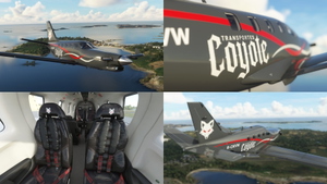 The Skypark Livery Pack - Turbo Prop thumbnail 7