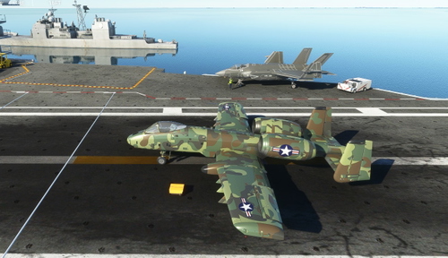 A-10 Thunderbolt Camo