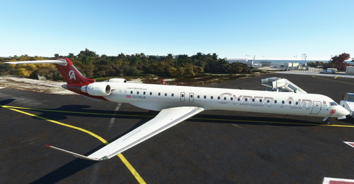 Aerosoft CRJ 1000 Livery of Cyber Air Virtual Airlines with UK registration G-CRJX