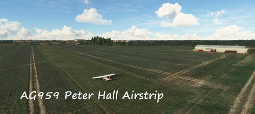 AG959 Peter Hall Airstrip, Coventry
