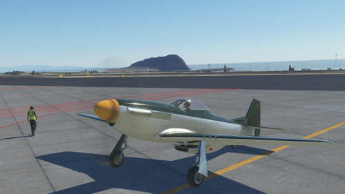 Asobo P-51D Blank Green/Silver livery (fictional)