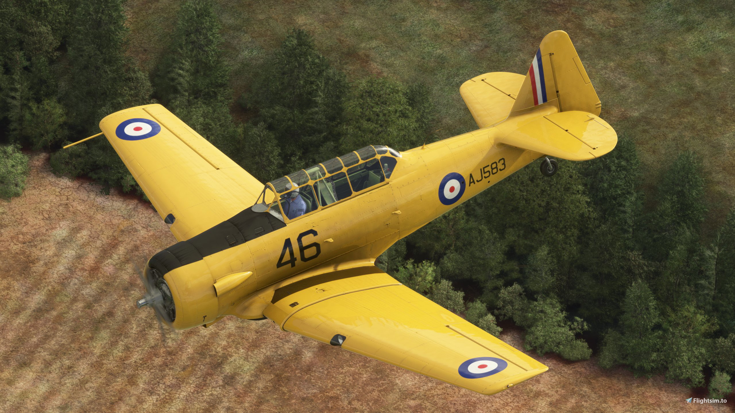 Asobo T-6 Texan C-FHWX 2010 - Image 1