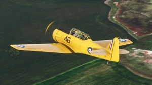 Asobo T-6 Texan C-FHWX 2010 thumbnail 4