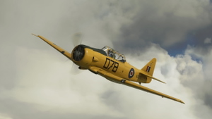 Asobo T-6 Texan NZ1078 thumbnail 6