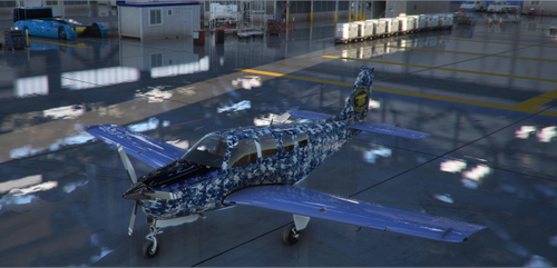 Beechcraft Bonanza G36 US Navy Seal