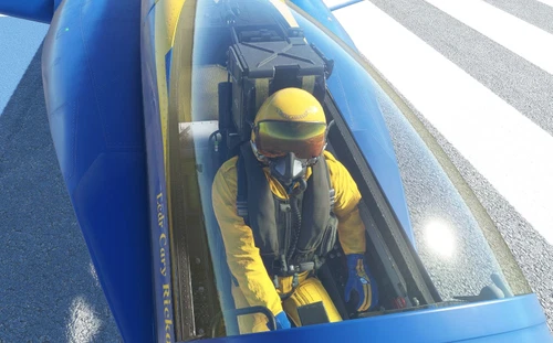 Blue Angels Pilot Skin