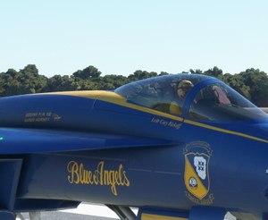 Blue Angels Pilot Skin thumbnail 3