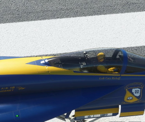 Blue Angels Pilot Skin thumbnail 2