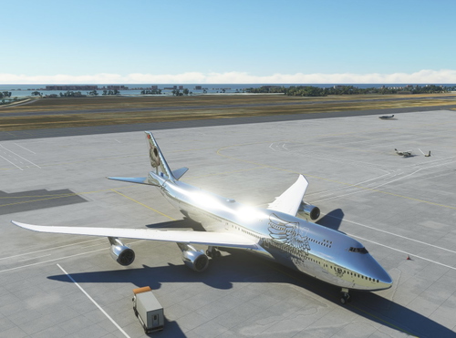 Boeing 747 "BULL"