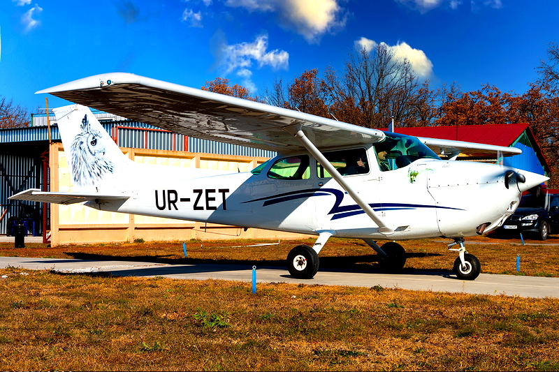 Cessna 172 Liveries for Microsoft Flight Simulator | MSFS | Flightsim.to