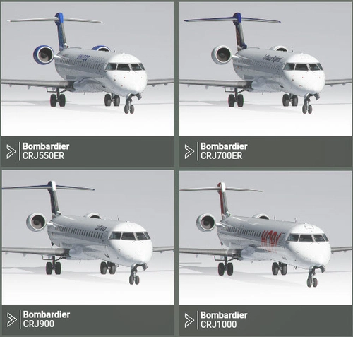 Custom Views CRJ 550, 700, 900 & 1000