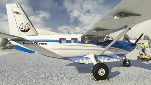 Daher Kodiak 100 Bush Divers - Alaska Livery