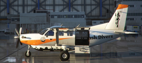 Daher Kodiak 100 Bush Divers DonFanucci Bush Divers Warrior Livery