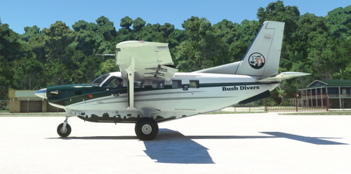 Daher Kodiak 100 Bush Divers DonFanucci Green Livery