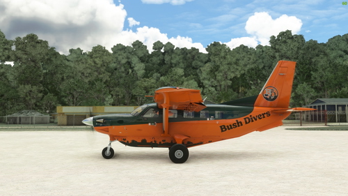 Daher Kodiak 100 Bush Divers DonFanucci Green/Orange Livery