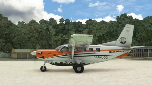 Daher Kodiak 100 Bush Divers - DonFanucci Livery