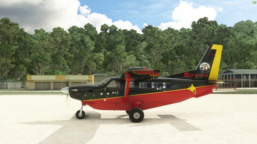 Daher Kodiak 100 Bush Divers DonFanucci PNG Livery