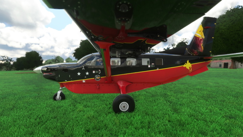 Daher Kodiak 100 Bush Divers DonFanucci PNG2 Livery