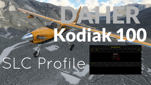 Daher Kodiak 100 Self-Loading Cargo Cabinlayout