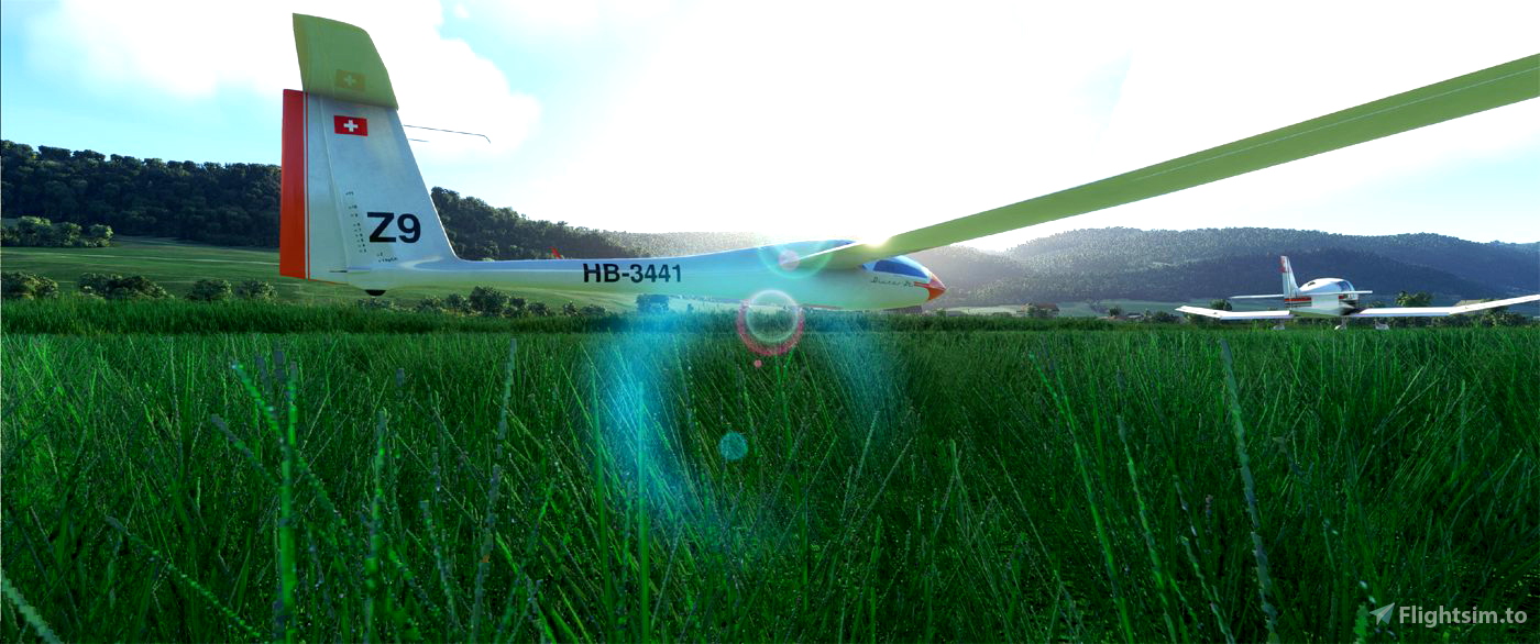 Discus2c Liveries for Microsoft Flight Simulator MSFS Flightsim.to