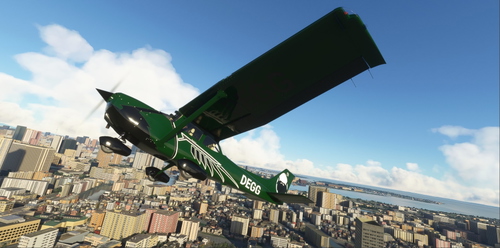 DwarvenEggOfficial Cessna 172 Livery
