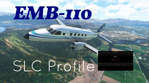 Embraer EMB-110 Bandeirante Self-Loading Cargo Cabinlayout 