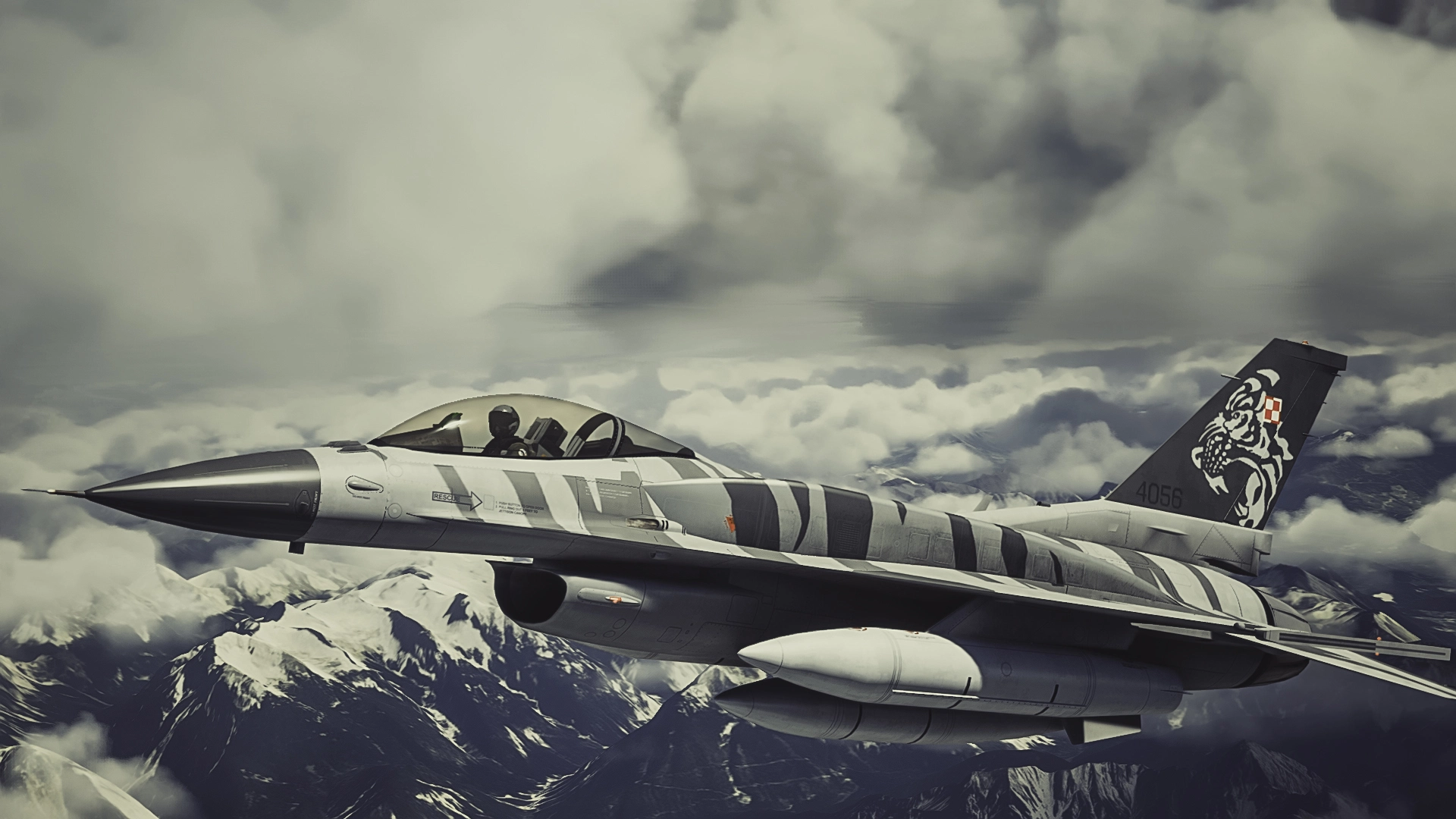 F-16 Tiger Demo Team Poland - Image 2