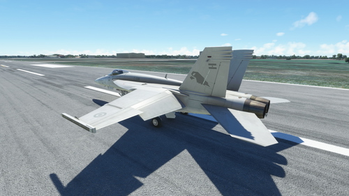 Boeing F/A-18E - Fuerza Aérea Argentina (G6C)