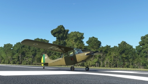 Cessna L-19 FAB 3165 Força Aérea Brasileira