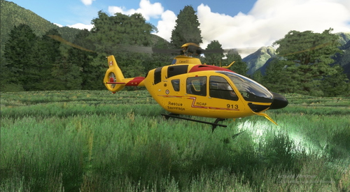H135 RCAF