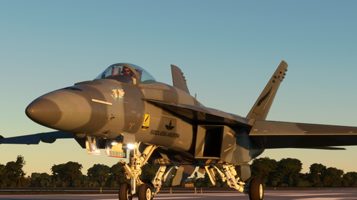 Livery F/A-18E Fuerza Aérea Argentina - Grupo 5 de Caza (G5C)