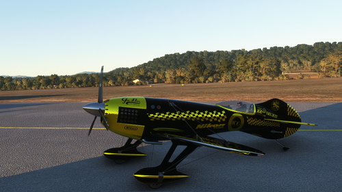 Livery "Nikon Team" V2.0.5- Gee Bee R3 special - by Newdeclic