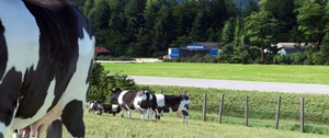 LJSO - Sostanj Airport & power plant landmark, Slovenia thumbnail 12