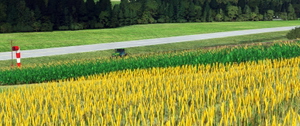 LJSO - Sostanj Airport & power plant landmark, Slovenia thumbnail 15