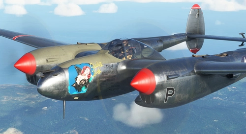 Lockheed P-38 "Shady's Lady" 8th FG