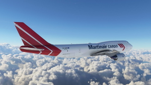Martin Air Cargo Boeing 747-8F - 8K thumbnail 5