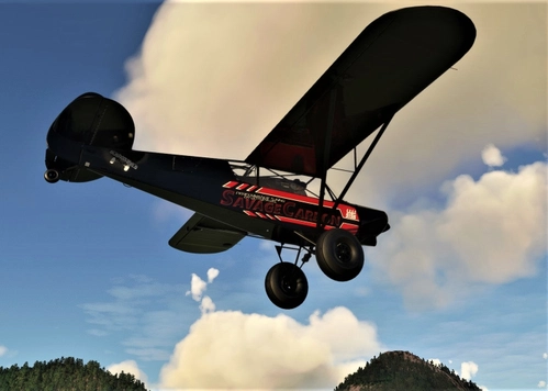 NC76 SavageCarbon Modern Livery