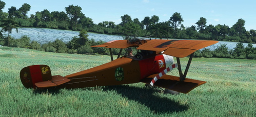 Nieuport 17 BigRadials Brown & Orange N18A Fonte Boa 