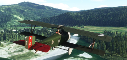 Nieuport 17 BigRadials Green "Run run rabbits" & 2 variantes (clean &us)