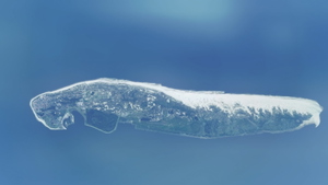 Norderney thumbnail 3