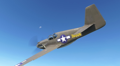 North American P-51A Polar Bear