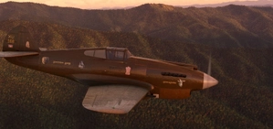P-40B Tomahawk BigRadials XU-168 Bayon Cambodia thumbnail 10