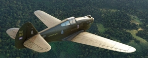 P-40B Tomahawk BigRadials XU-168 Bayon Cambodia thumbnail 7