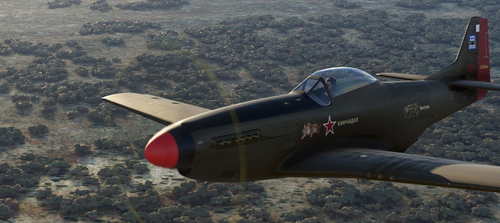 P-51D Siberian Chukchi 168 Brown
