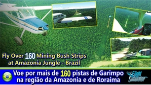 Fly in more than 160 Bush Strips at Amazonia Jungle / Voe por + de 160 Pistas de Garimpo thumbnail 2