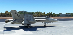 RAAF 1 Squadron F/A-18E Super Warrior thumbnail 3