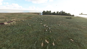 Saint Vaast - Tatihou thumbnail 4