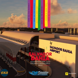 SBSV - Salvador Bahia Airport (Disabled) thumbnail 3