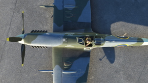 Spitfire Mk.IX SM520 (2021) thumbnail 7
