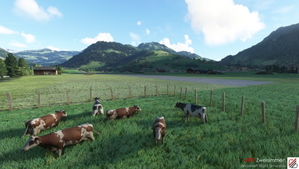 SwissMilSim Zweisimmen (LSTZ) Legacy thumbnail 7